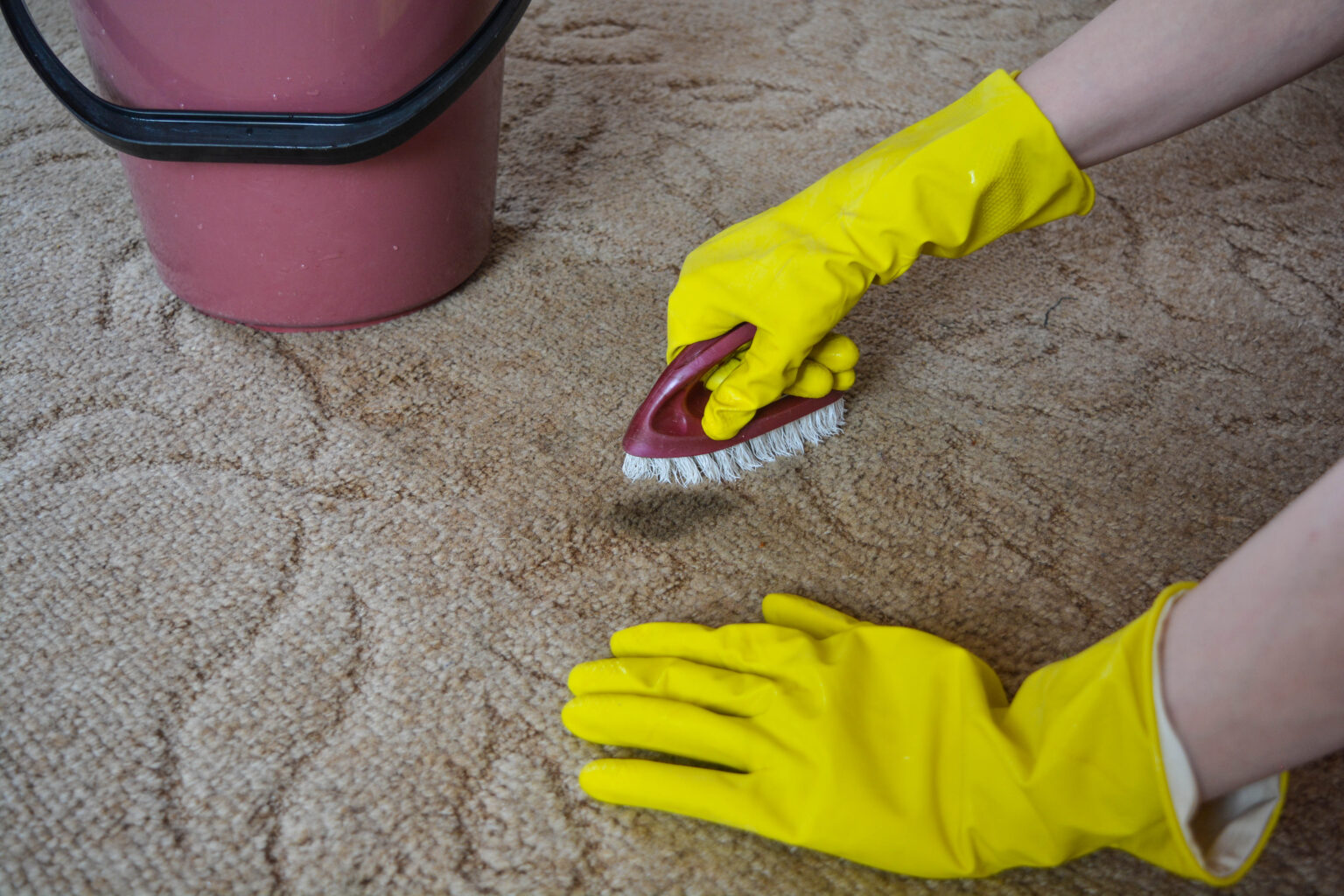 How To Get Dried Paint Out Of Carpet A DIY Guide