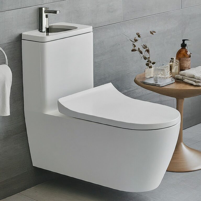 Toilet Sink Combo Ideas: Is It Right For You?